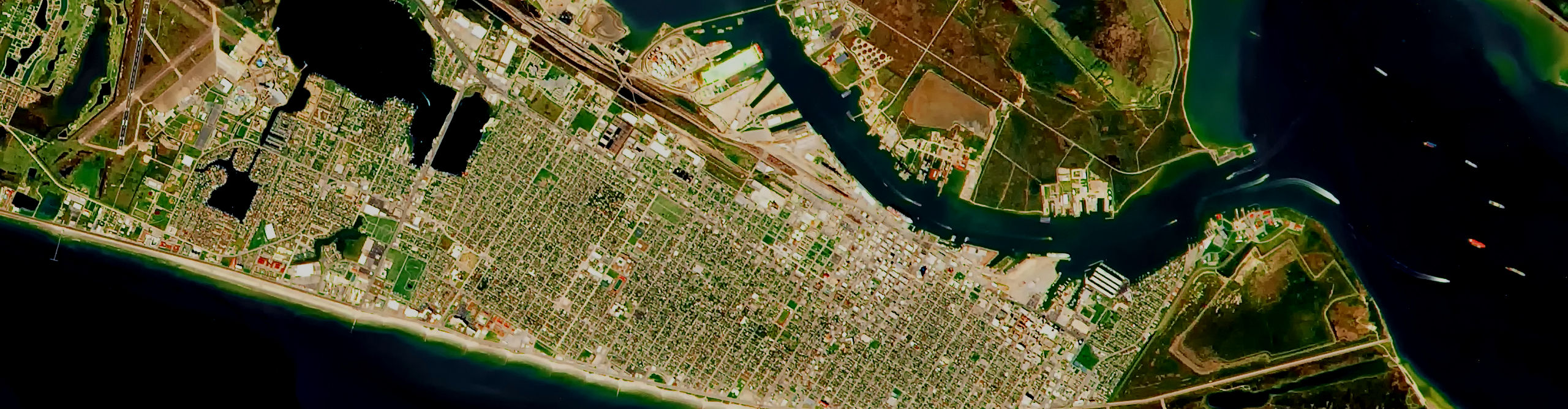 Image Alt
